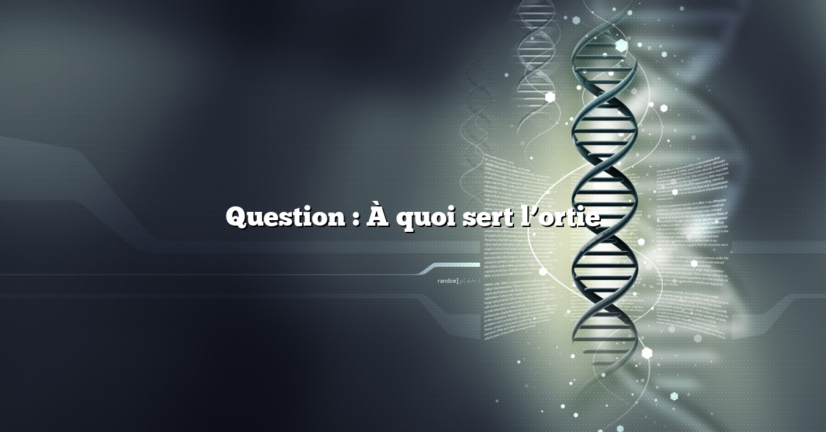 Question : À quoi sert l’ortie